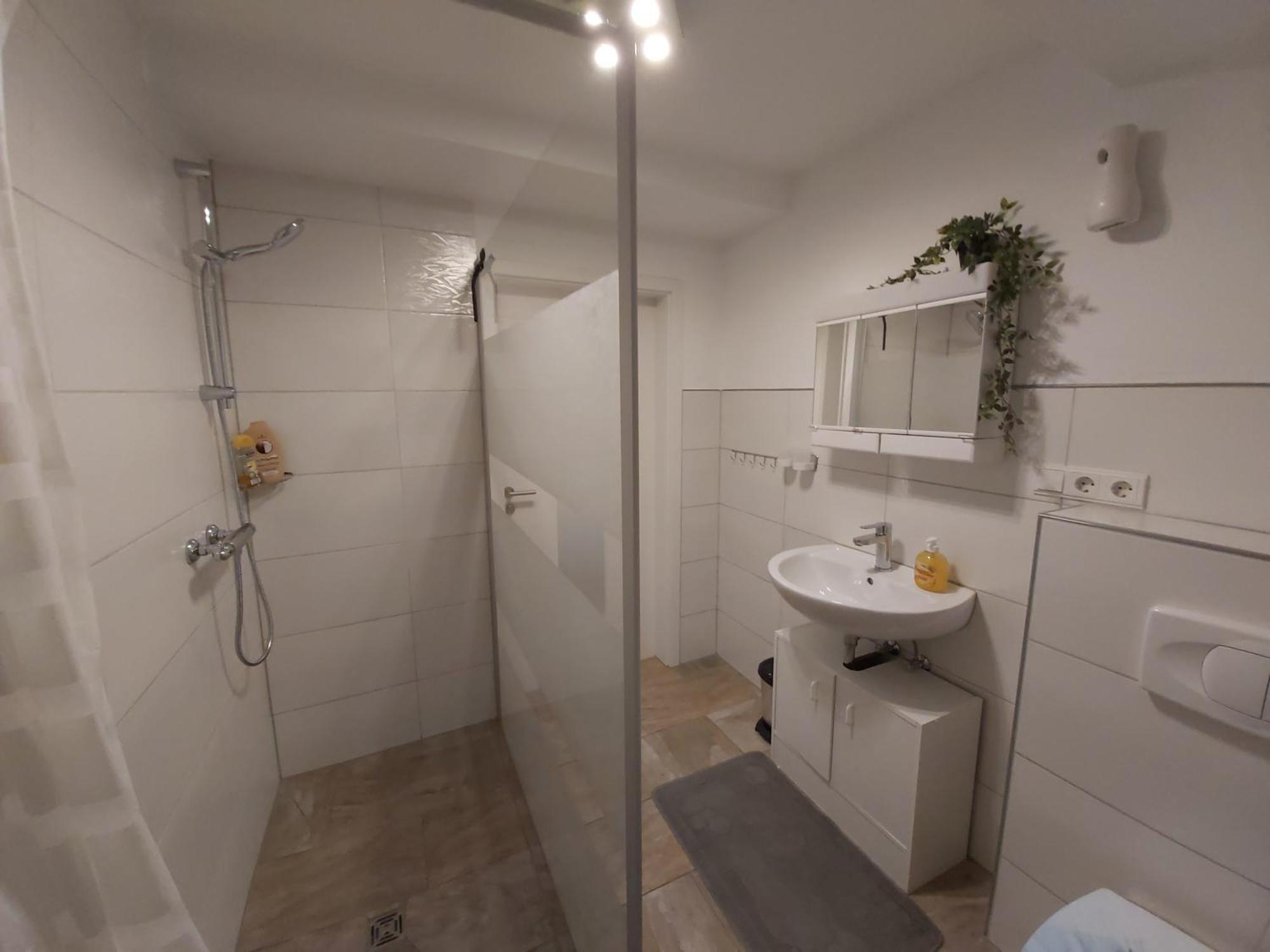 Albi Haus Winterberg Apartment Ngoại thất bức ảnh
